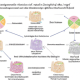 Development in Diagnostic of Gastric H-Pylori Infection