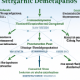 How current diagnostic medical devices distribution system work?