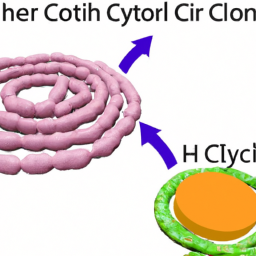 The link between H. pylori and stomach cancer