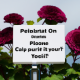 Does H Pylori causes all gastrointestinal diseases? How C-13 breathing testing help in diagnosis of it?